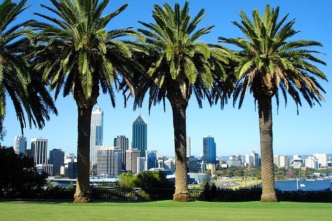 Arrival Private Transfer: Perth Airport PER to Perth City in Luxury Van - FAQ