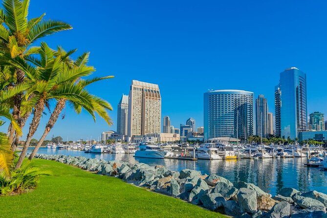 Arrival Private Transfer: San Diego Airport SAN to San Diego in Luxury SUV - Additional Information & Practical Tips