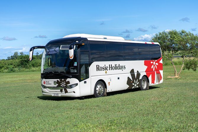 Arrival Shared Transfer : Airport to Hotel - Relaxed and Reliable: Arrival Shared Transfer from Nadi Airport to Your Fiji Hotel