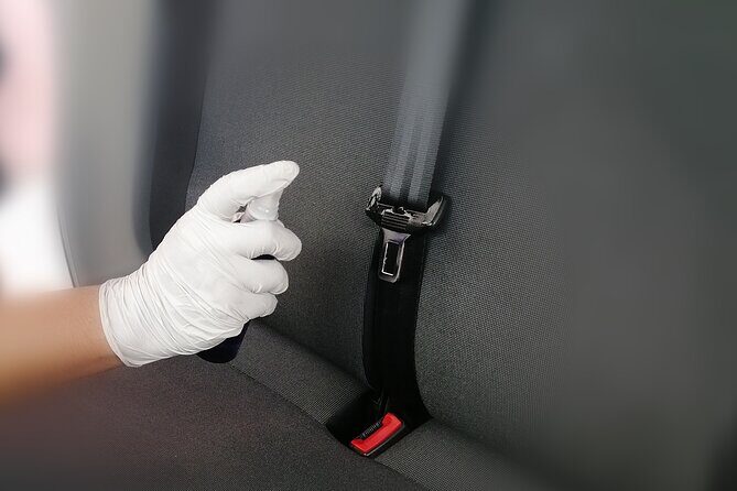 Arrivals by Private Minivan wi fi aboard from Cancun Airport - Key Points