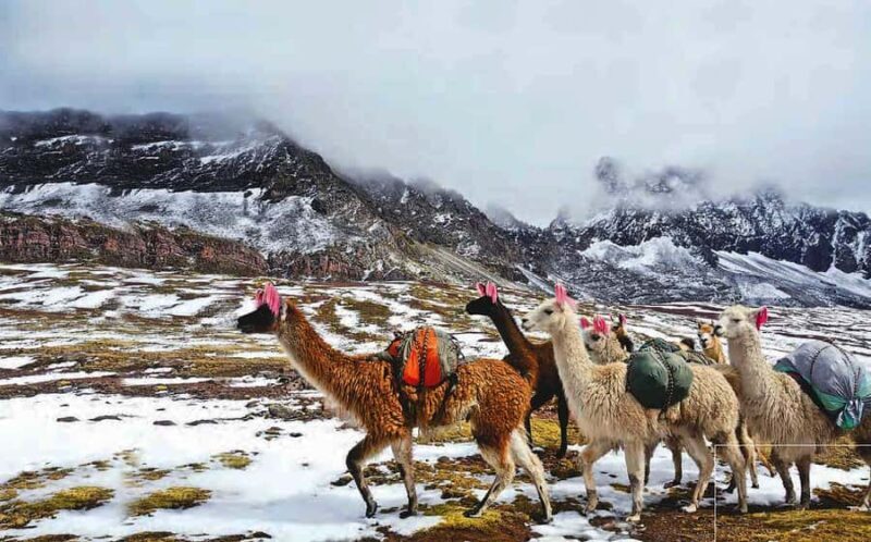 Arrive before the crowd to the Mountain in private service - Final Thoughts