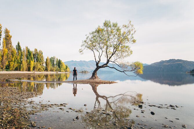 Arrowtown and Wanaka Highlights Tour from Queenstown - Arrowtown and Wanaka Highlights Tour from Queenstown