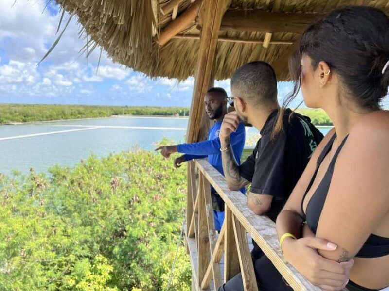 Art and Forest Way Combo Full Day Tour - A Full-Day Journey into the Heart of the Dominican Republic