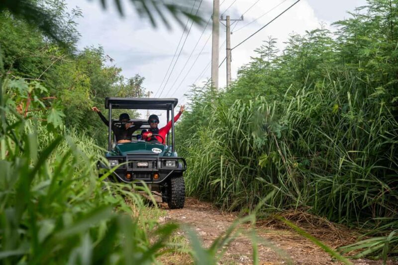 Art and Forest Way Combo Full Day Tour - The Practical Side: What to Expect