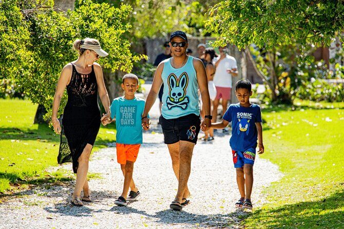 Art And Forest Way Half Day Tour - Key Points