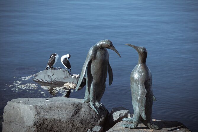 Art and History Trail Walking Tour in Tasmania - Frequently Asked Questions (FAQs)