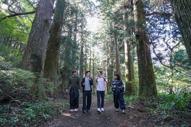 Art and Nature Hakone Full Day Chartered Private Tour - Final Thoughts: Who Should Consider This Tour?