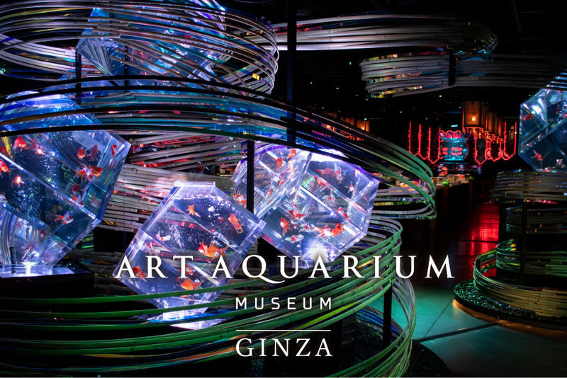 Art Aquarium Museum GINZA Ticket - What to know before you go