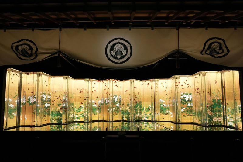 Art Aquarium Museum GINZA Ticket - Goldfish, light, and a different kind of aquarium