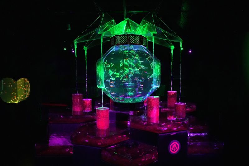 Art Aquarium Museum GINZA Ticket - How long to allow, and how to make the visit count