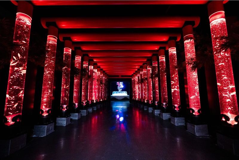Art Aquarium Museum GINZA Ticket - Getting to the entrance inside Ginza Mitsukoshi
