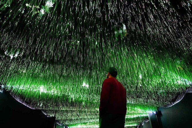 Art Club is an Immersive Museum of New Media Artworks at POST. - Art Club at POST Houston: An Innovative Journey into New Media Art