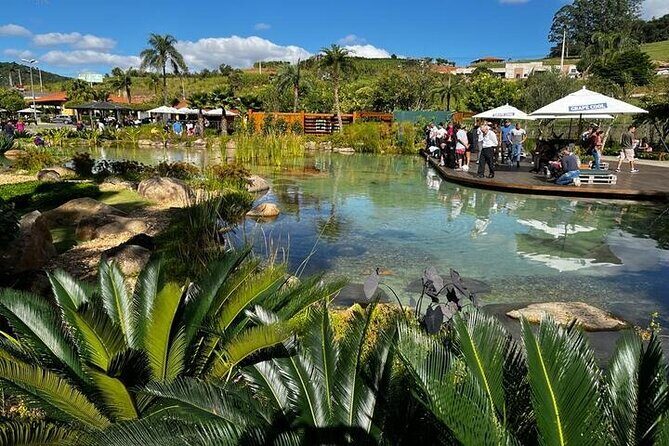 Art Of Wine  Travel Through The So-Called Wine Route Visiting Various Wineries - FAQ