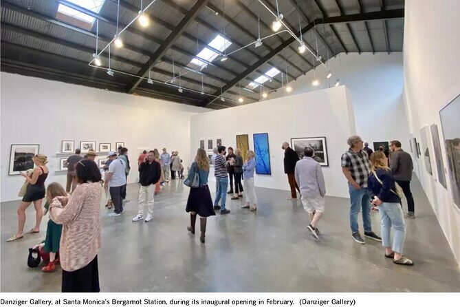 Art Openings in Los Angeles Saturday Night Private Tour by Aaron - Who Should Consider This Tour?