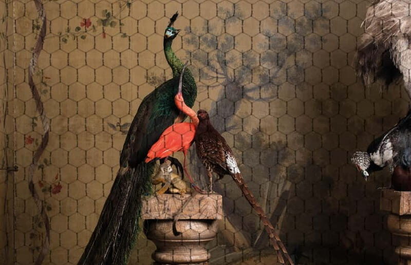Art Zoo Museum: Art meets nature in a 17th-Century House - Final thoughts