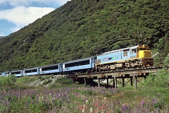 Arthur's Pass and TranzAlpine Train Day Tour from Christchurch - Why This Tour Works