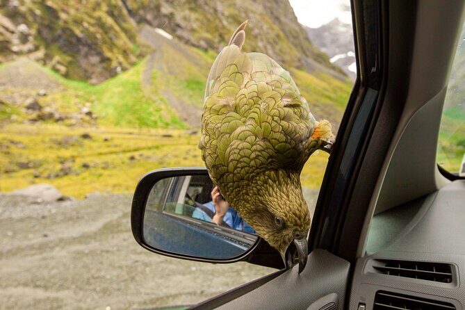 Arthurs Pass Day Tour From Christchurch With Jet Boat - A Closer Look at the Arthurs Pass Day Tour
