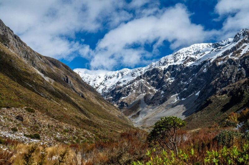 Arthur's Pass Day Tour From Christchurch with TranzAlpine - Discover the Best of Arthurs Pass and the TranzAlpine from Christchurch