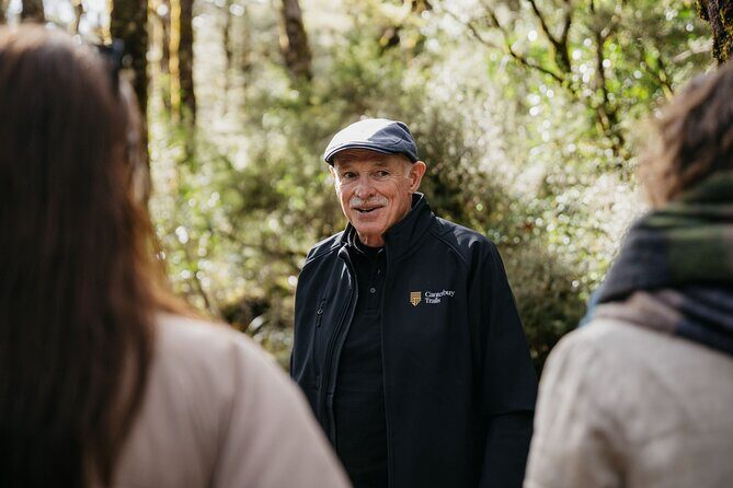 Arthur's Pass Discovery and TranzAlpine Train - Small Group Tour - Who Is This Tour Best For?