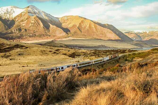 Arthur's Pass Discovery and TranzAlpine Train - Small Group Tour - FAQ