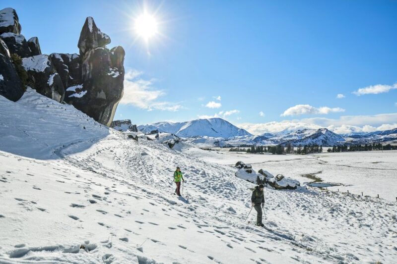 Arthur's Pass: TranzAlpine Train and Castle Hill Day Tour - The Value of This Tour