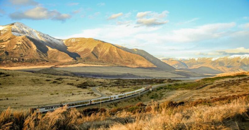 Arthur's Pass: TranzAlpine Train and Castle Hill Day Tour - Who Will Love This Experience?