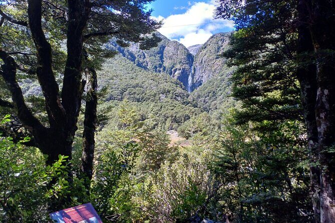 Arthurs Pass with Optional TranzAlpine Train - Key Points