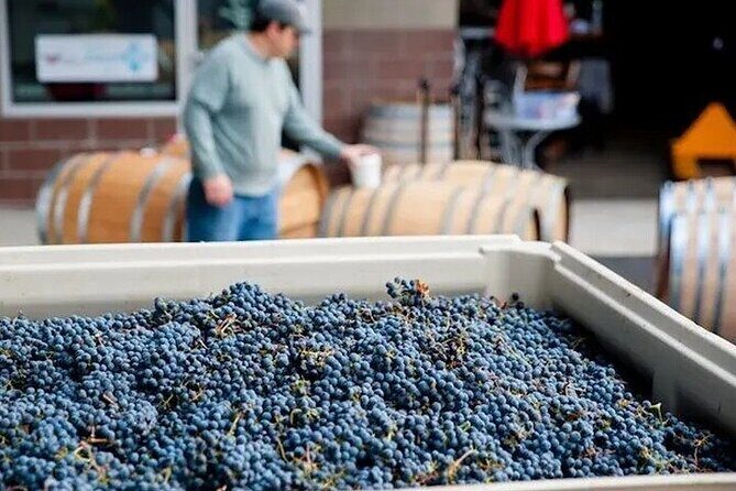 Artisan Hill Wine Pass in Woodinville - Quick Overview of the Artisan Hill Wine Pass in Woodinville