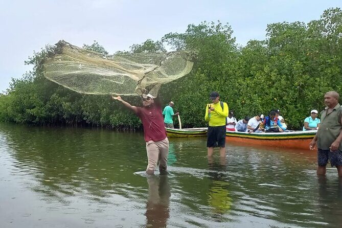 Artisanal Canoe Tour in the Mangrove with Afro-Caribbean Dance - A Deep Dive into the Experience