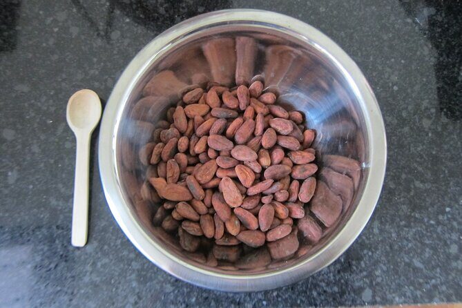 Artisanal Chocolate Bean to Bar Workshop in Cancún - FAQ