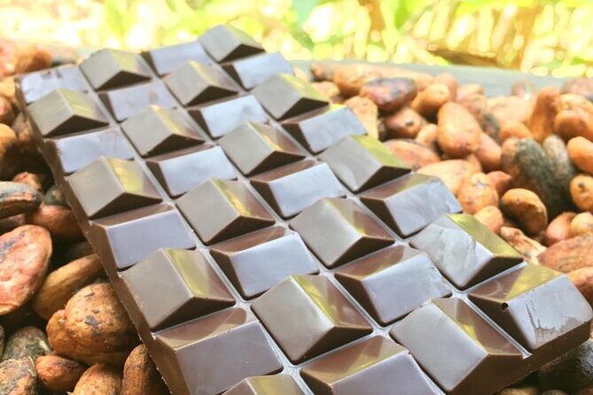 Artisanal chocolate: from the garden to the table - Unlock the secrets of Colombian cacao with "Artisanal Chocolate: From the Garden to the Table" in Santa Marta