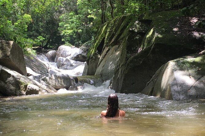 Artisanal chocolate: from the garden to the table - Tasting & Optional Lunch