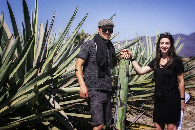 Artisanal Mezcal distillery in an authentic Zapotec village - Key Points