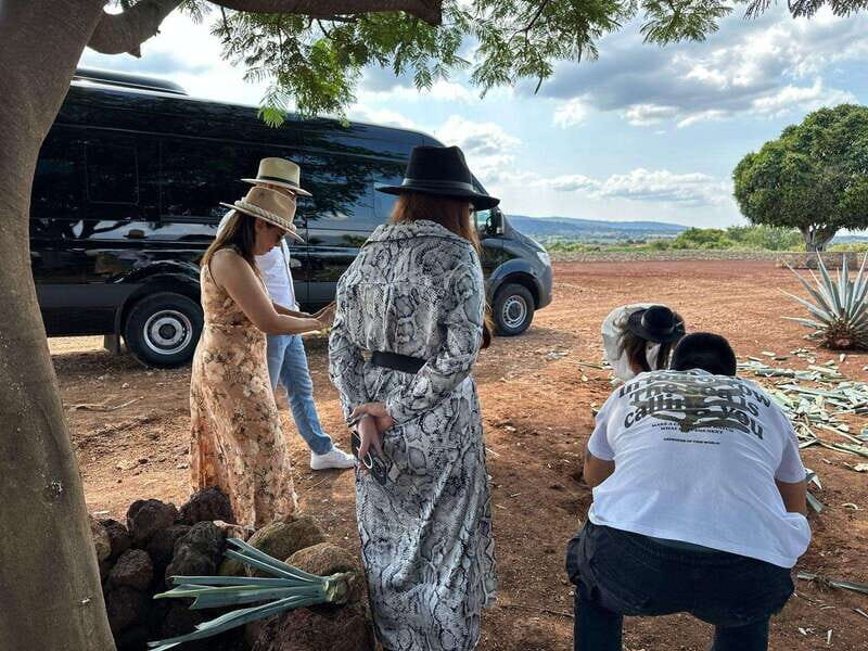 Artisanal Tequila Experience in Private Luxury SUV Local - A Personalized Journey into Jalisco’s Tequila Heartland
