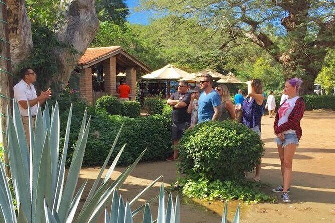 Artisans Town and Agave Distilled Factory - Key Points