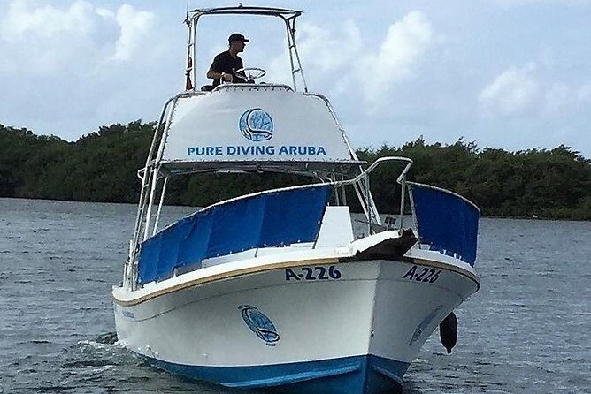 Aruba 1-Tank Night Dive for Certified Divers / rental Equipment - Key Points