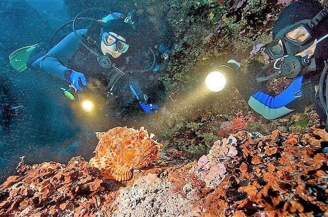 Aruba 1-Tank Night Dive for Certified Divers / rental Equipment - Practical Details & Tips