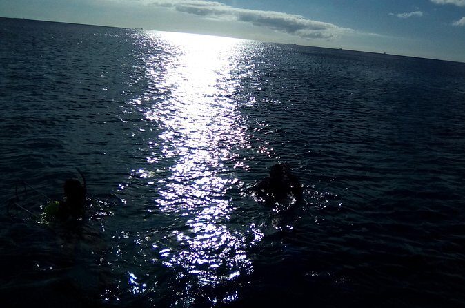 Aruba 1-Tank Night Dive for Certified Divers / rental Equipment - Summary: Is It Worth It?