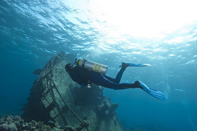 Aruba 2-Tank Dive Excursion for Certified Divers - Who Should Book This Tour?