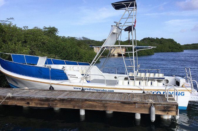 Aruba 2-Tank guided Dive for certified divers / own equipment - Authenticity, Value, and Experience