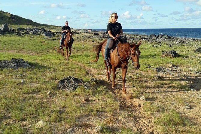Aruba 2,5 hrs Horseback Riding For Advanced Riders - Aruba 2.5 hrs Horseback Riding For Advanced Riders — An Authentic Adventure in the Aruban Countryside