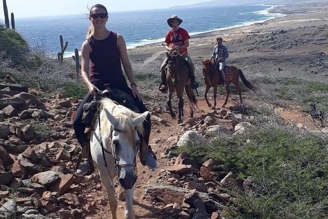 Aruba 2,5 hrs Horseback Riding For Advanced Riders - A Closer Look at the Aruba Horseback Riding Experience