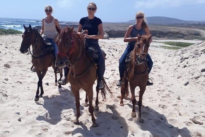 Aruba 2,5 hrs Horseback Riding For Advanced Riders - Final Thoughts