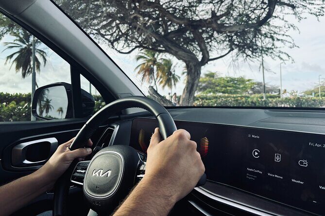 Aruba Airport Private Transfer: Start Your Vacation Stress-Free - Authentic Traveler Feedback