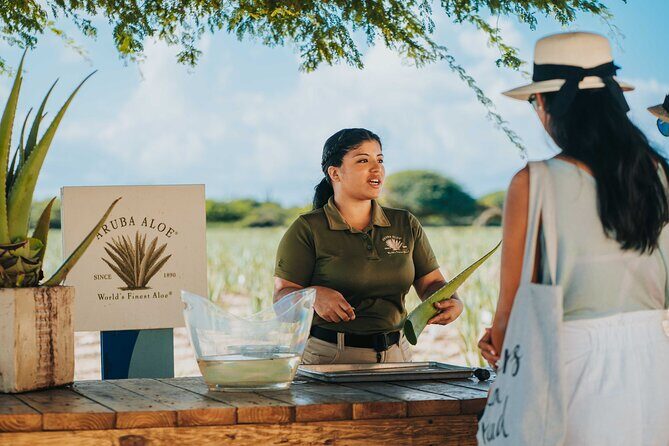 Aruba Baby Beach Express Tour - Discover Aruba’s Charm in Half a Day with the Baby Beach Express Tour