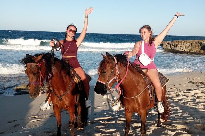 Aruba Beach Ecological Horseback Ride - The Sum Up: Is It Worth Your Time?