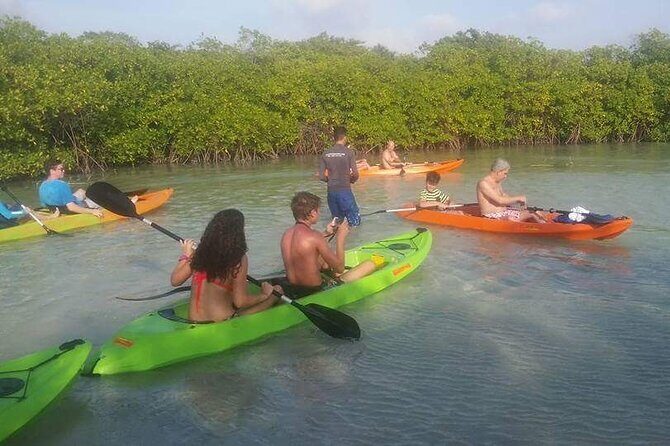 Aruba Glass Bottom Kayak Tour through the Mangrove Forest - Starting Point and Meeting