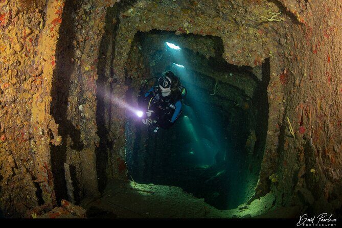 Aruba Guided Night Dive Adventure: Shallow Reefs or Shipwrecks - Frequently Asked Questions