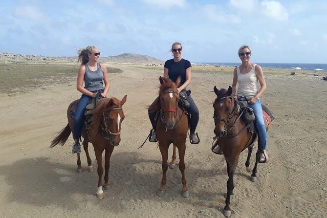 Aruba Horseback Riding Tour For Advanced Riders - Aruba Horseback Riding Tour For Advanced Riders: A Genuine Adventure Through the Island’s Wild Side