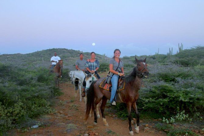 Aruba Horseback Riding Tour to Hidden Lagoon - Aruba Horseback Riding Tour to Hidden Lagoon